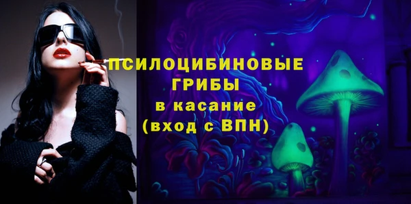 ПСИЛОЦИБИНОВЫЕ ГРИБЫ Каменногорск