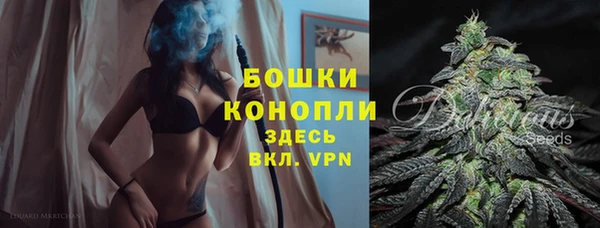 ПСИЛОЦИБИНОВЫЕ ГРИБЫ Каменногорск