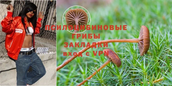 ПСИЛОЦИБИНОВЫЕ ГРИБЫ Каменногорск