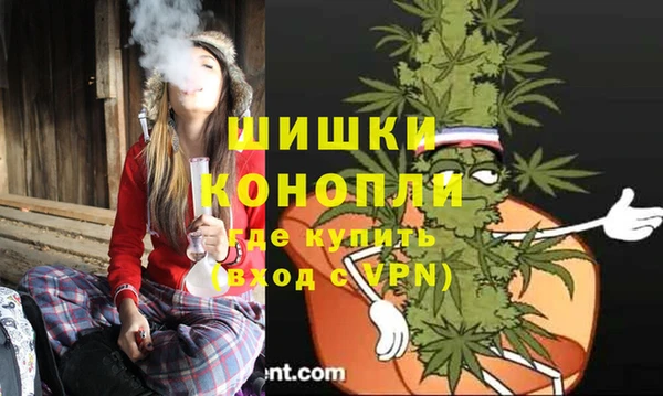ПСИЛОЦИБИНОВЫЕ ГРИБЫ Каменногорск